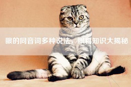 眼的同音词多种说法，眼科知识大揭秘