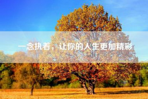 一念执着，让你的人生更加精彩