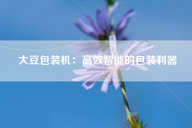 大豆包装机：高效智能的包装利器