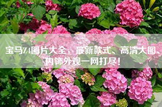 admin