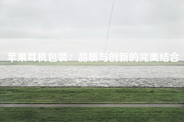 苹果耳机包装：品质与创新的完美结合