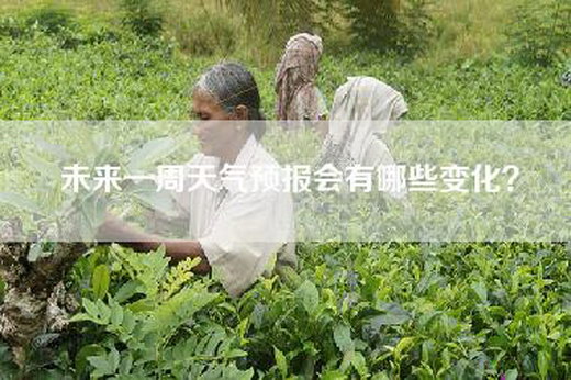 未来一周天气预报会有哪些变化？