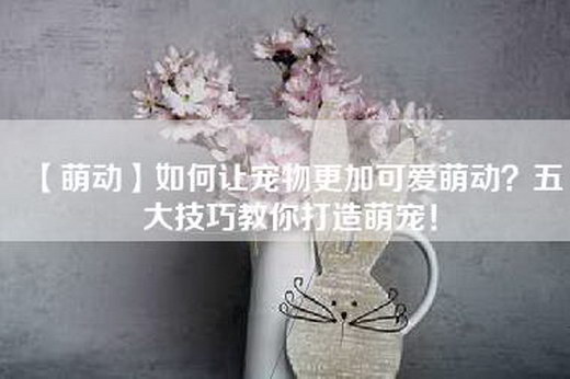 【萌动】如何让宠物更加可爱萌动？五大技巧教你打造萌宠！