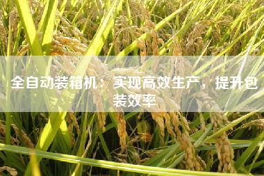 全自动装箱机：实现高效生产，提升包装效率