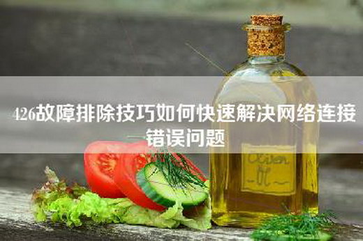 426故障排除技巧如何快速解决网络连接错误问题