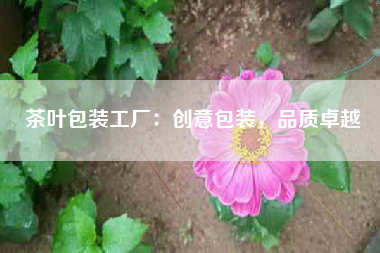 茶叶包装工厂：创意包装，品质卓越