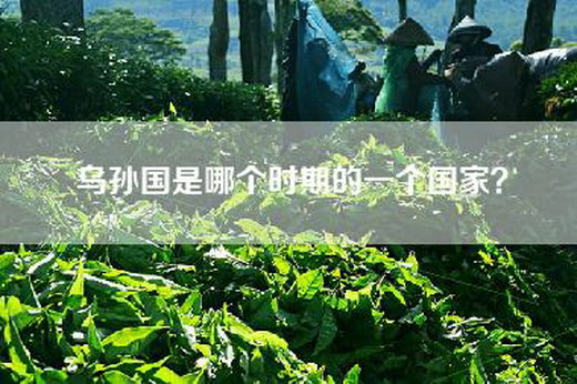 乌孙国是哪个时期的一个国家？