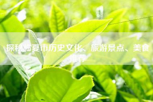 探秘临夏市历史文化、旅游景点、美食推荐