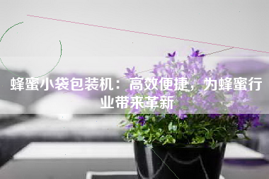 蜂蜜小袋包装机：高效便捷，为蜂蜜行业带来革新
