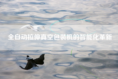 全自动拉伸真空包装机的智能化革新