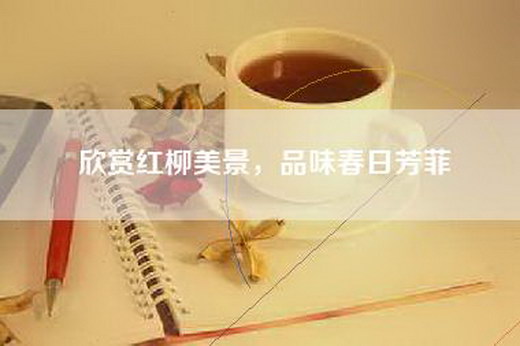 欣赏红柳美景，品味春日芳菲
