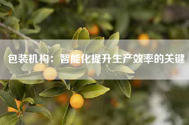 包装机构：智能化提升生产效率的关键