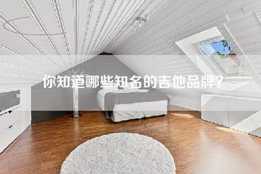你知道哪些知名的吉他品牌？