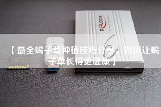 【最全蝎子草种植技巧分享，如何让蝎子草长得更健康】