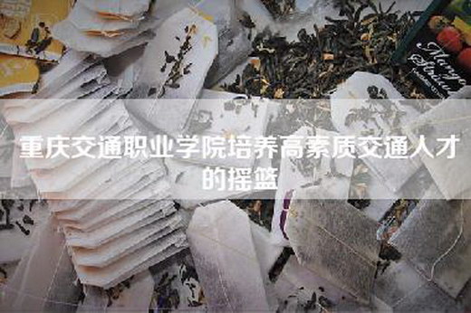 重庆交通职业学院培养高素质交通人才的摇篮