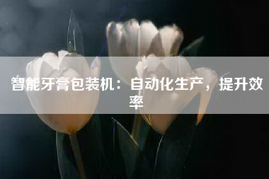 智能牙膏包装机：自动化生产，提升效率