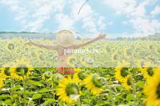 parameters