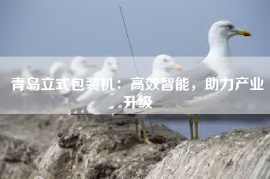 青岛立式包装机：高效智能，助力产业升级