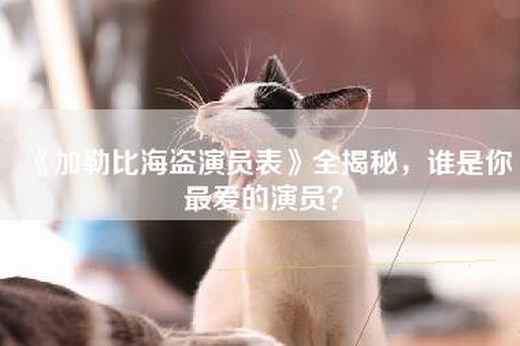 《—海盗演员表》全揭秘，谁是你最爱的演员？