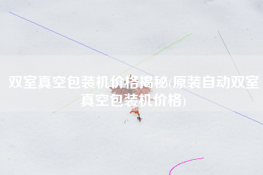 双室真空包装机价格揭秘(原装自动双室真空包装机价格)