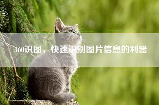 360识图，快速识别图片信息的利器
