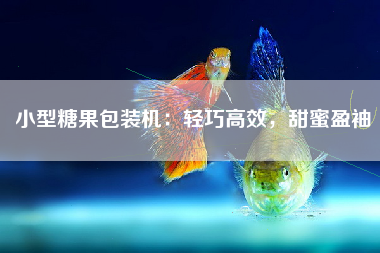 小型糖果包装机：轻巧高效，甜蜜盈袖