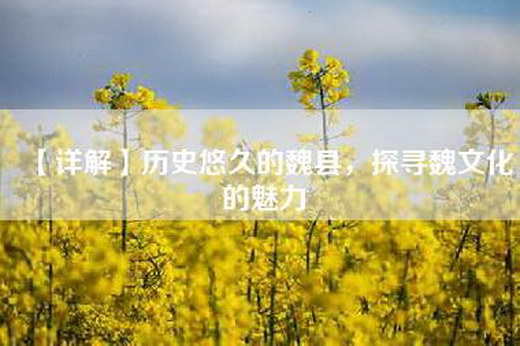 【详解】历史悠久的魏县，探寻魏文化的魅力