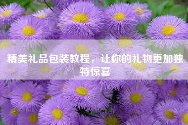 精美礼品包装教程，让你的礼物更加独特惊喜