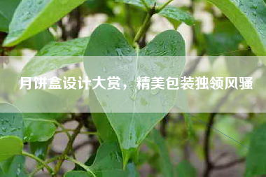 月饼盒设计大赏，精美包装独领—