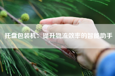 托盘包装机：提升物流效率的智能助手