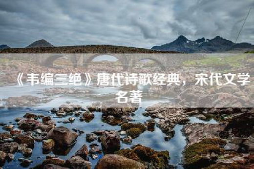 《韦编三绝》唐代诗歌经典，宋代文学名著