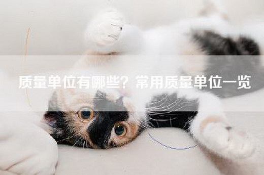质量单位有哪些？常用质量单位一览