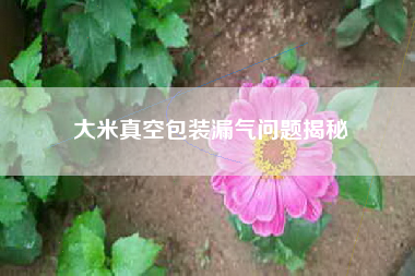 大米真空包装漏气问题揭秘