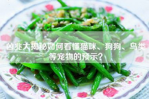 凶兆大揭秘如何看懂猫咪、狗狗、鸟类等宠物的预示？