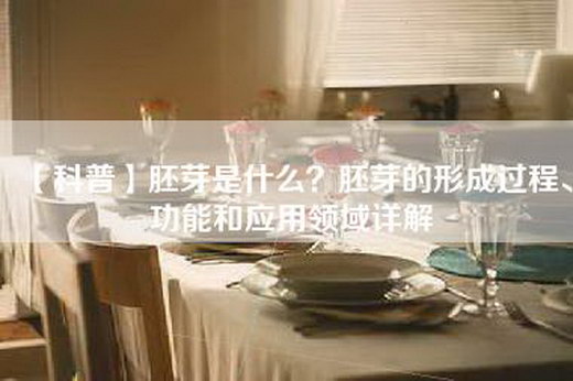 【科普】胚芽是什么？胚芽的形成过程、功能和应用领域详解