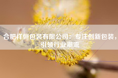 合肥祥恒包装有限公司：专注创新包装，引领行业潮流