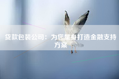 贷款包装公司：为您量身打造金融支持方案