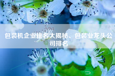 包装机企业排名大揭秘、包装业龙头公司排名