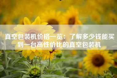 真空包装机价格一览：了解多少钱能买到一台高性价比的真空包装机