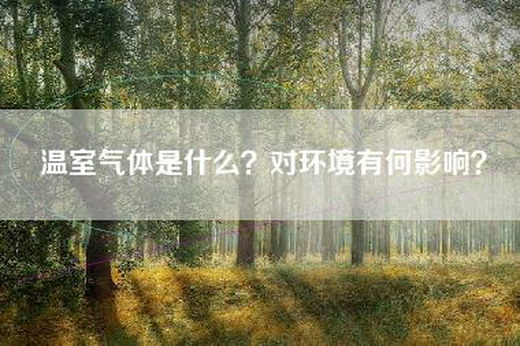 温室气体是什么？对环境有何影响？