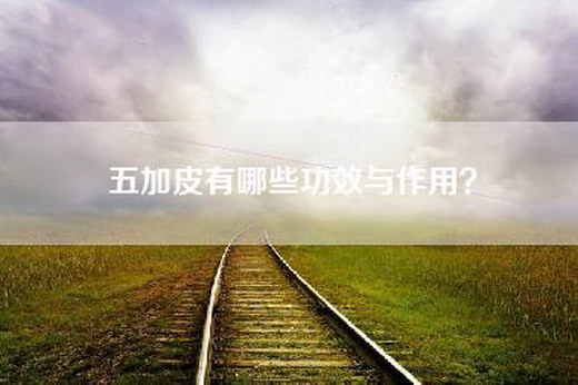五加皮有哪些功效与作用？