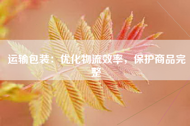运输包装：优化物流效率，保护商品完整