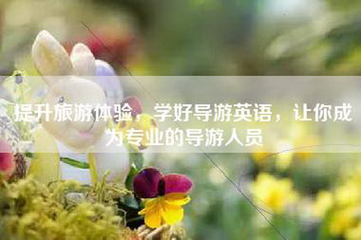 提升旅游体验，学好导游英语，让你成为专业的导游人员