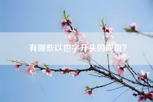 有哪些以也字开头的成语？
