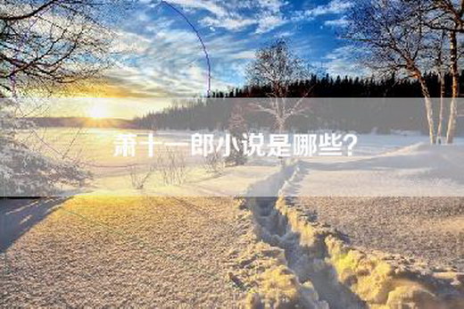 萧十一郎小说是哪些？