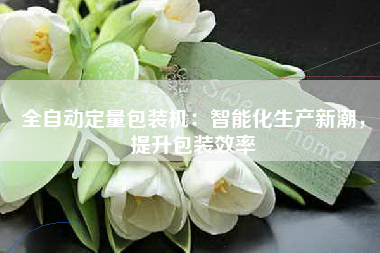 全自动定量包装机：智能化生产新潮，提升包装效率