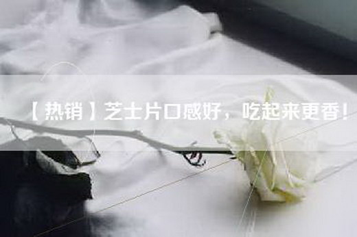 【热销】芝士片口感好，吃起来更香！