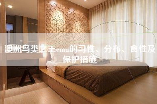 澳洲鸟类之王emu的习性、分布、食性及保护措施