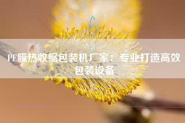 PE膜热收缩包装机厂家：专业打造高效包装设备