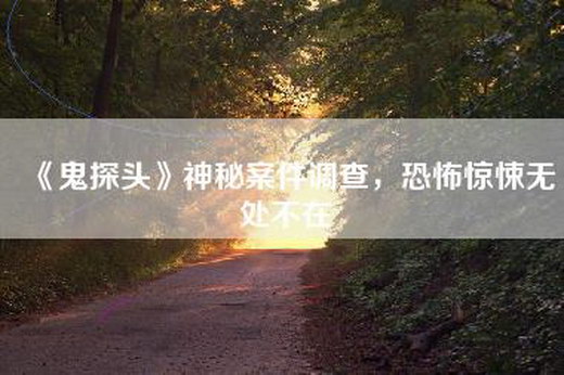 《鬼探头》神秘案件调查，恐怖惊悚无处不在